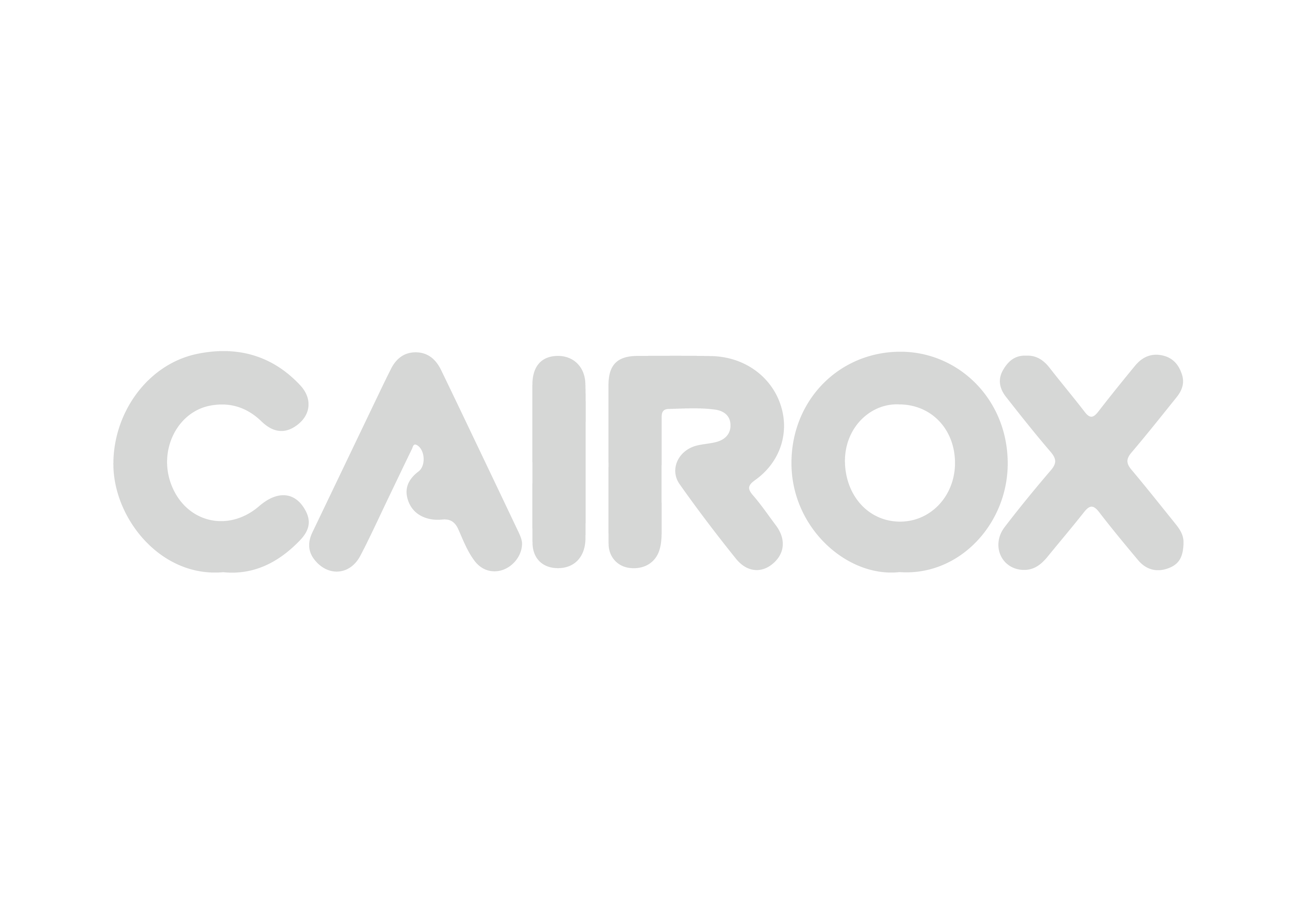 Project One Partner-Cairox
